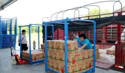 永州嘉信冷链仓储物流中心正式开业,助推区域物流体系升级