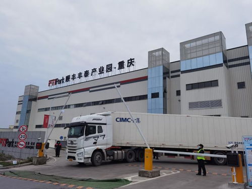 巴南严把仓储物流源头关 筑牢进口冷链食品检测防线